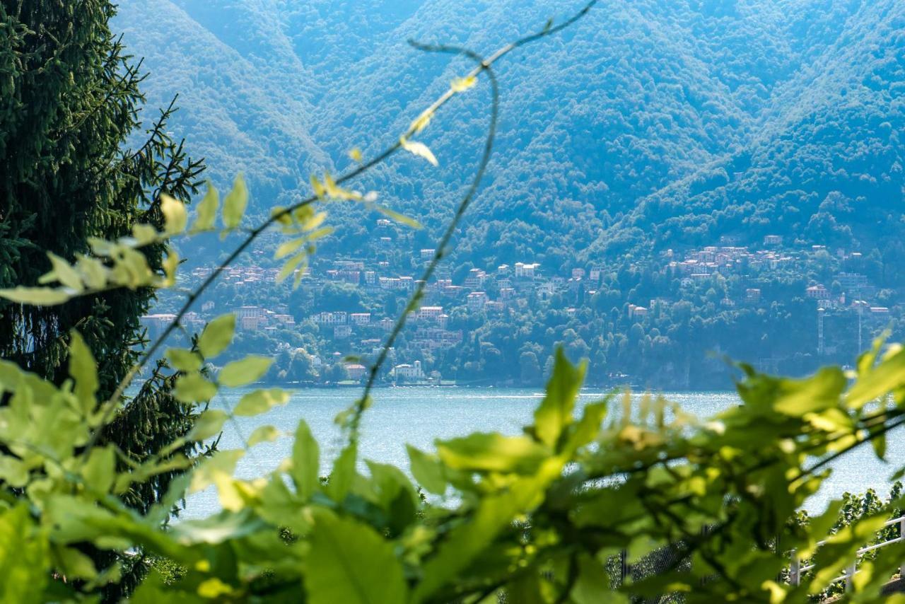 Villa Vittoria - The House Of Travelers تْشيرنوبيو المظهر الخارجي الصورة